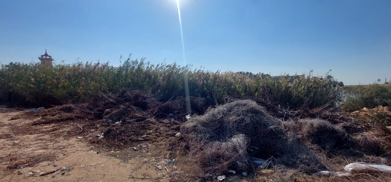 WhatsApp Image 2025-12-20 at 10.20.53 PM-